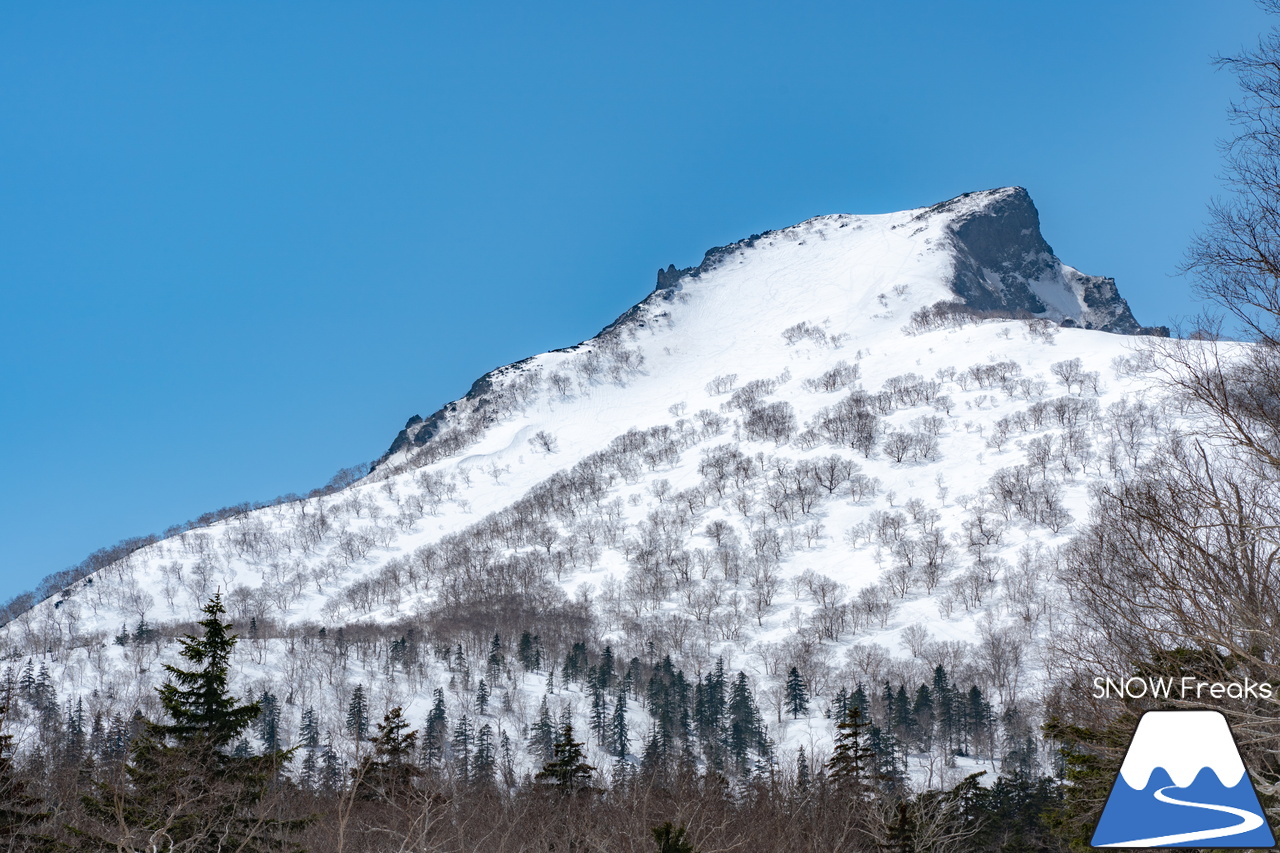 大雪山層雲峡・黒岳ロープウェイスキー場｜驚異の積雪 290cm！コンディション上々な黒岳で、最高に気持ちの良い春スキー＆スノーボードを楽しみましょう♪